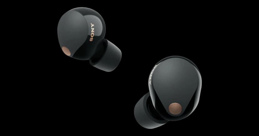 Sony WF-1000XM5 - dealbreaker analysis and risk rating